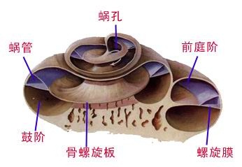 IMAG2012122104.jpg