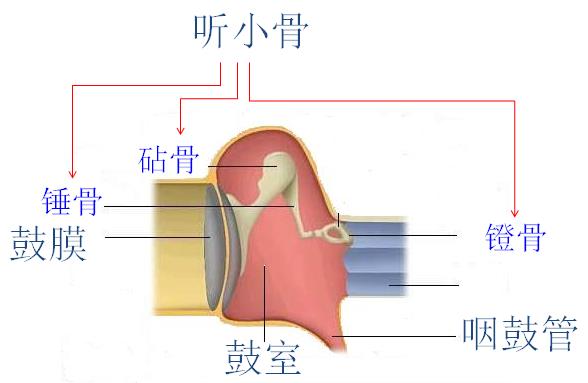 IMAG2012122103.jpg