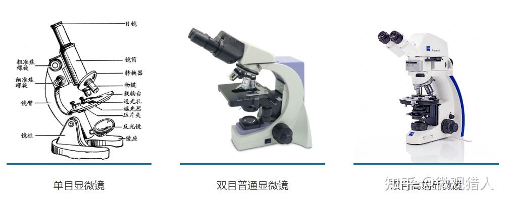 显微镜是什么？
