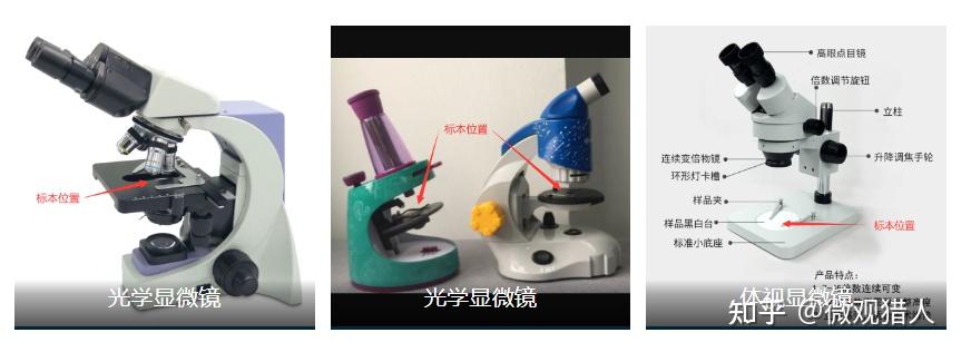 显微镜是什么？