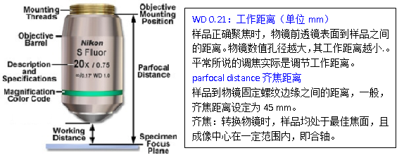 2010112800091919.png